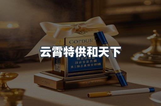 云霄特供和天下